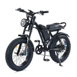 DRIFT.SLIDE 1500W Electric Bike for Adults Full Suspension, 20" Fat Tire, 20.8AH Long Seat Dirt Bike, Max 31MPH & 40-150 Miles, Moped Style Ebike for Snow, Mountains, Road