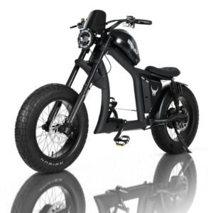 BIGNIU BG-X Electric Bike for Adults,740W Brushless Motor 48V 31.5Ah Up to 40 Miles E-Bike Front/Rear Turn Signal Dual Suspension Ebikes UL2849